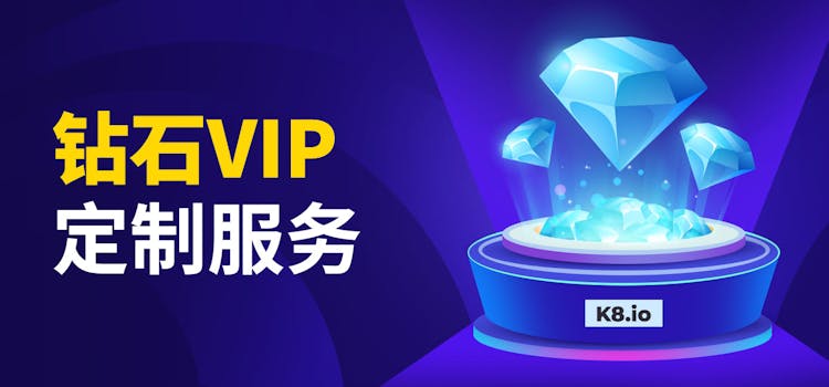钻石VIP定制服务